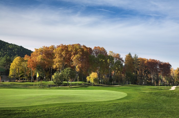 Reunion golf resort orlando florida course resorts vacation hotel family disney courses hotels wedding usa wyndham palmer destination packages great